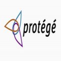 protege中文版(java语言开发工具)