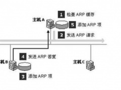 arp协议的主要功能是_arp协议的主要功能是什么