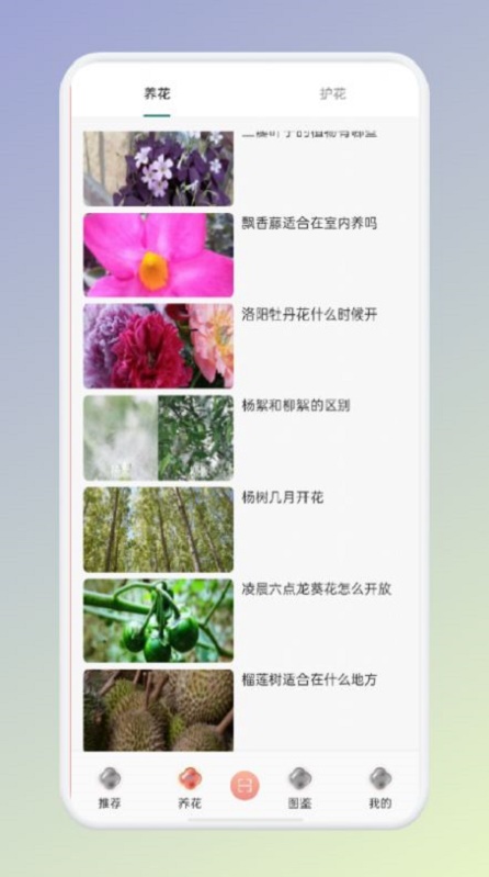 拍照识花识别植物app下载_拍照识花识别植物安卓版下载v1.1 安卓版 运行截图2