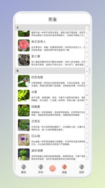 拍照识花识别植物app下载_拍照识花识别植物安卓版下载v1.1 安卓版 运行截图3