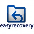 EasyRecovery15中文汉化版