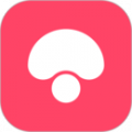 蘑菇街app安卓手机版_蘑菇街app官方免费版v16.8.0.24508下载