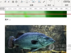 Word2021怎么给图片插入题注 操作步骤