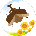 我和甲虫的暑假汉化游戏下载_我和甲虫的暑假最新版下载v1.7 安卓版