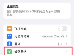 iphone数据漫游是什么意思啊_怎么设置数据漫游[多图]