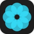 哈喽壁纸app最新版下载_哈喽壁纸高清手机壁纸安卓下载v1.0.0