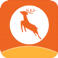 小鹿专升本app最新版下载_小鹿专升本手机版下载v1.1 安卓版