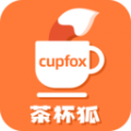 茶杯狐APP官网下载免费