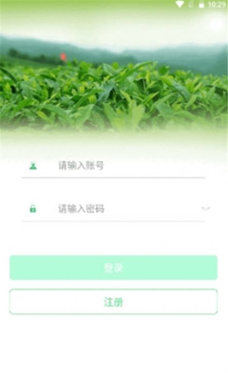 茶数软件下载_茶数最新版下载v1.0 安卓版 运行截图3