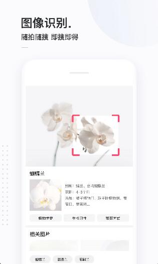 简单搜索app旧版本下载_简单搜索app官网下载v3.9.2下载 运行截图1