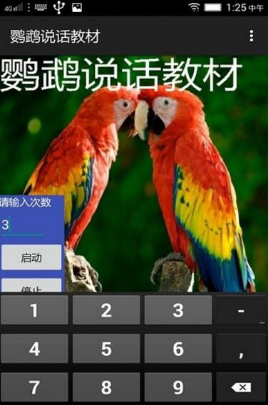 鹦鹉说话教材app免费下载_鹦鹉说话教材官方正式版V1.0.8下载 运行截图1