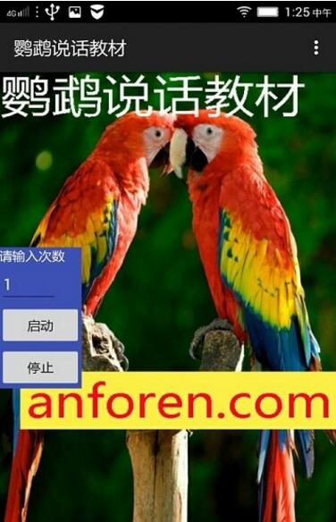 鹦鹉说话教材app免费下载_鹦鹉说话教材官方正式版V1.0.8下载 运行截图3