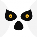 狐猴浏览器官网app