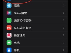 iphone12来电闪光灯怎么设置_如何设置[多图]