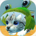 猫咪之家游戏免费版下载_猫咪之家最新版下载v1.0.1 安卓版