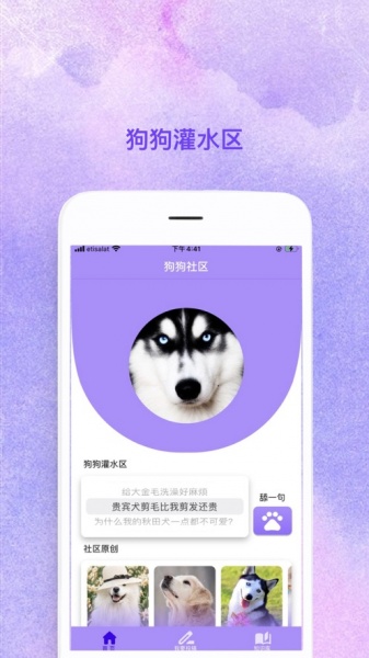 腾腾宠物社区平台最新版下载_腾腾宠物社区app下载v1.0 安卓版 运行截图1