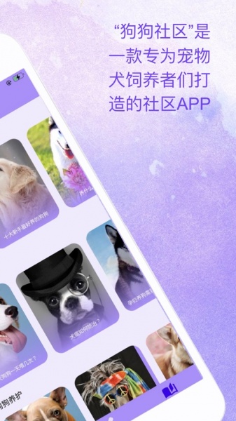 腾腾宠物社区平台最新版下载_腾腾宠物社区app下载v1.0 安卓版 运行截图2