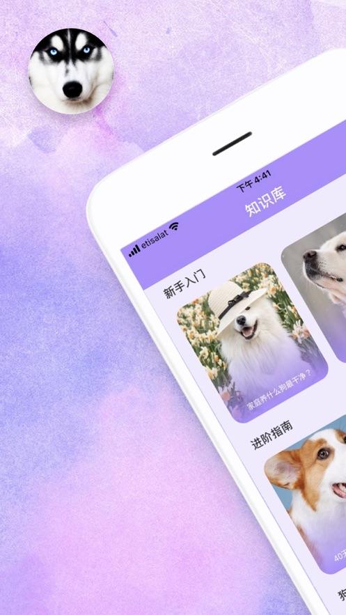 腾腾宠物社区平台最新版下载_腾腾宠物社区app下载v1.0 安卓版 运行截图3