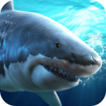 真实模拟鲨鱼捕食游戏下载_真实模拟鲨鱼捕食最新版下载v1.0.0.0123 安卓版