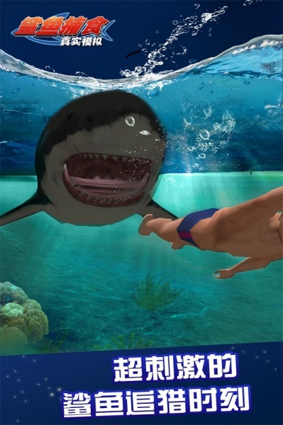 真实模拟鲨鱼捕食游戏下载_真实模拟鲨鱼捕食最新版下载v1.0.0.0123 安卓版 运行截图2