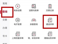 中国联通怎么查通话记录_中国联通如何查询通话记录[多图]