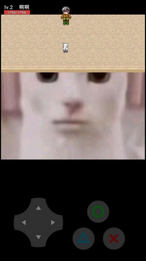 小猫惊魂游戏免费版下载_小猫惊魂手机版下载v0.10 安卓版 运行截图1