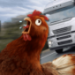 鸡肉挑战模拟器游戏最新版下载_鸡肉挑战模拟器汉化版最新下载v0.9.5 安卓版