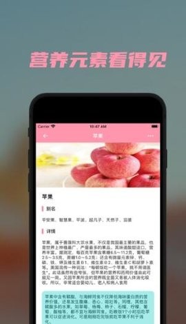 懒猪营养app下载_懒猪营养2022最新版下载v1.0.2 安卓版 运行截图3