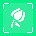 一起认植物软件免费下载_一起认植物安卓版下载v1.1 安卓版