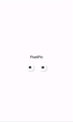 pixelpic像素生成app手机版下载_pixelpic最新版下载v1.0.1 安卓版 运行截图1