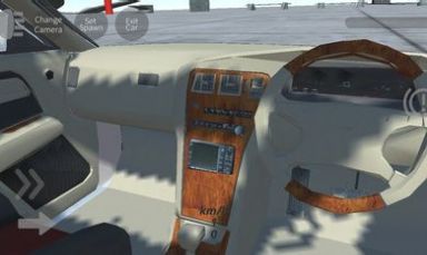 辛迪汽车驾驶游戏下载_辛迪汽车驾驶安卓版下载v0.2 安卓版 运行截图2