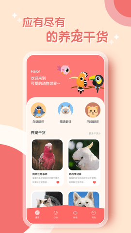 鹦鹉翻译器中文版app下载_鹦鹉翻译器最新版下载v1.0.0 安卓版 运行截图2