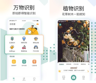识花君app