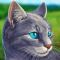 猫咪3D模拟免费内购版下载_猫咪3D模拟升级版下载v1.0.0.9 安卓版