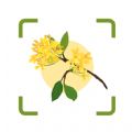 plantae植物识别app下载_plantae免费最新版下载v1.1 安卓版