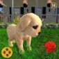 体验宠物小狗的一天游戏最新版下载_体验宠物小狗的一天汉化版最新下载v5.1 安卓版