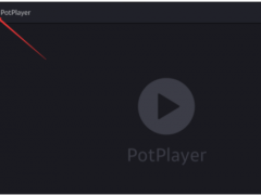 PotPlayer怎么关闭显示章节 屏蔽显示章节方法
