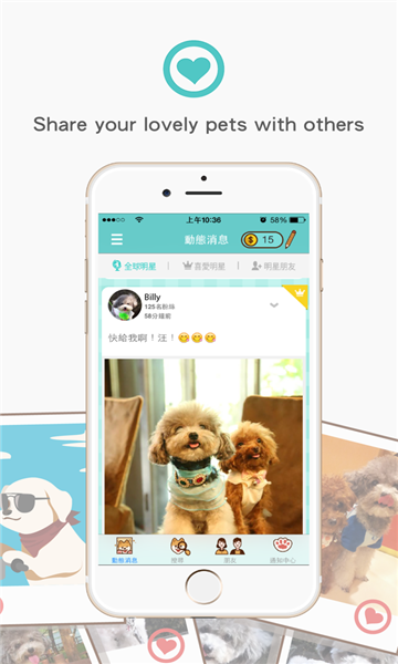 petnfans宠物社交app下载_petnfans宠物社交app最新安卓版软件最新版 运行截图4