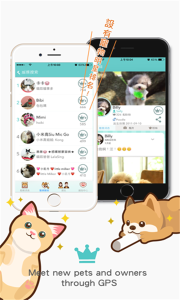 petnfans宠物社交app下载_petnfans宠物社交app最新安卓版软件最新版 运行截图2