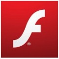 flash player 10.1