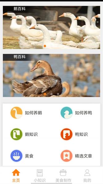 鹅鸭之家app安卓版下载_鹅鸭之家最新版下载v0.1 安卓版 运行截图1