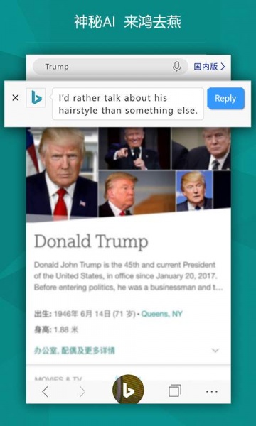 bing搜索国内版下载_bing搜索国内版手机版最新版 运行截图2