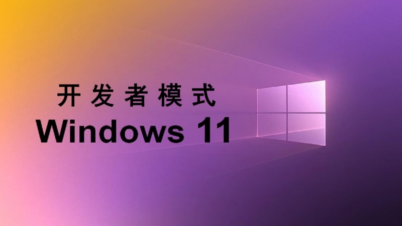 win11开启开发者模式首图