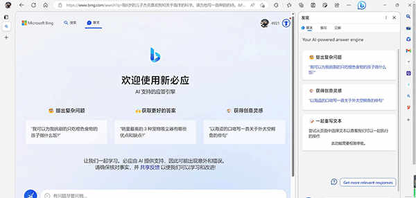 new bing中文版下载_new bing下载安装V1.0 运行截图1
