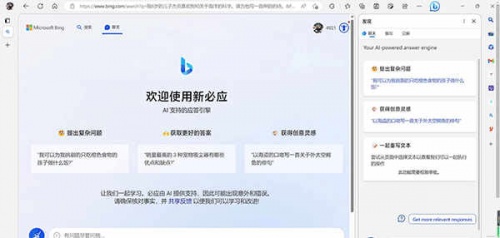 new bing中文版下载_new bing下载安装V1.0 运行截图1