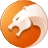 猎豹浏览器高速浏览器下载安