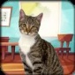 猫模拟器可爱的小猫手机版最新下载_猫模拟器可爱的小猫升级版下载v1.0 安卓版