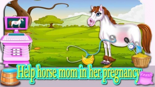 怀孕的母马游戏下载_怀孕的母马安卓版下载v2 安卓版 运行截图2