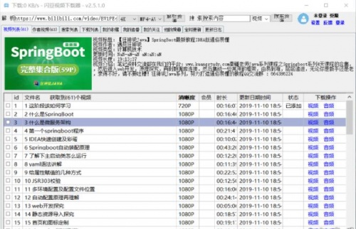 闪豆哔哩哔哩视频下载器内置去水印_闪豆哔哩哔哩视频下载器下载安装V3.1 运行截图1