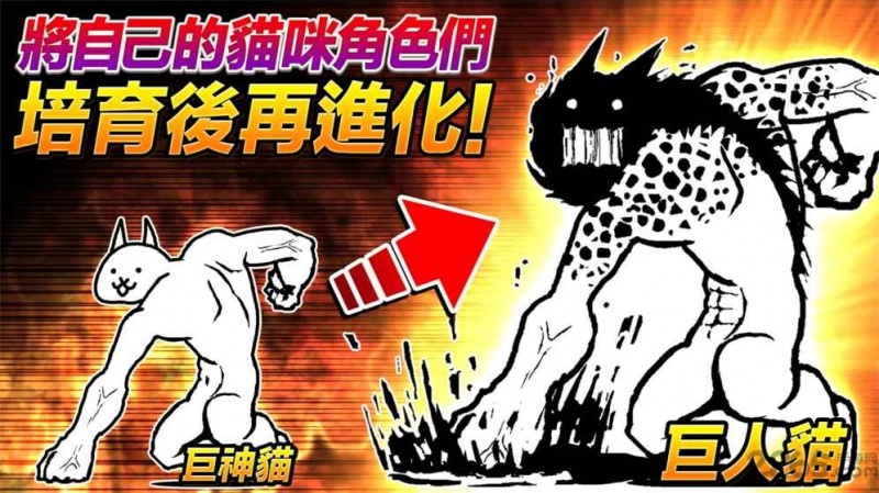 猫咪大战争9.1.0破解下载